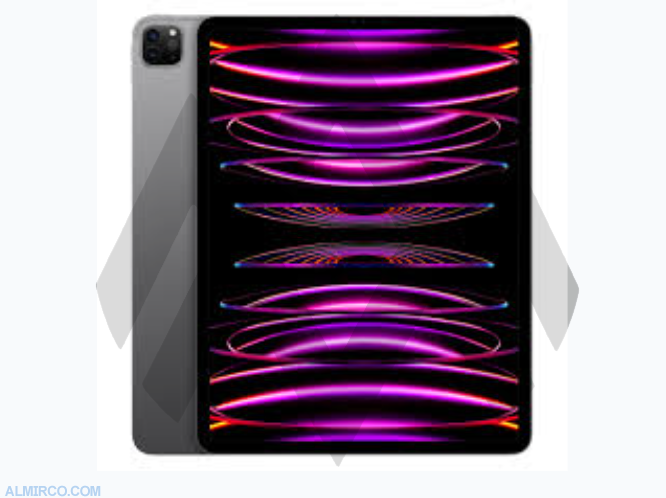 iPad Pro 12.9" 6th Gen 1TB WiFi + LTE